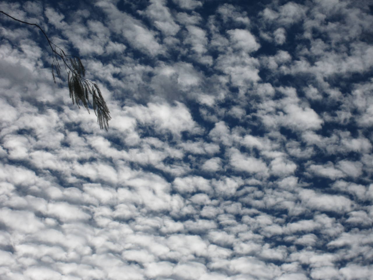 Cloudy
